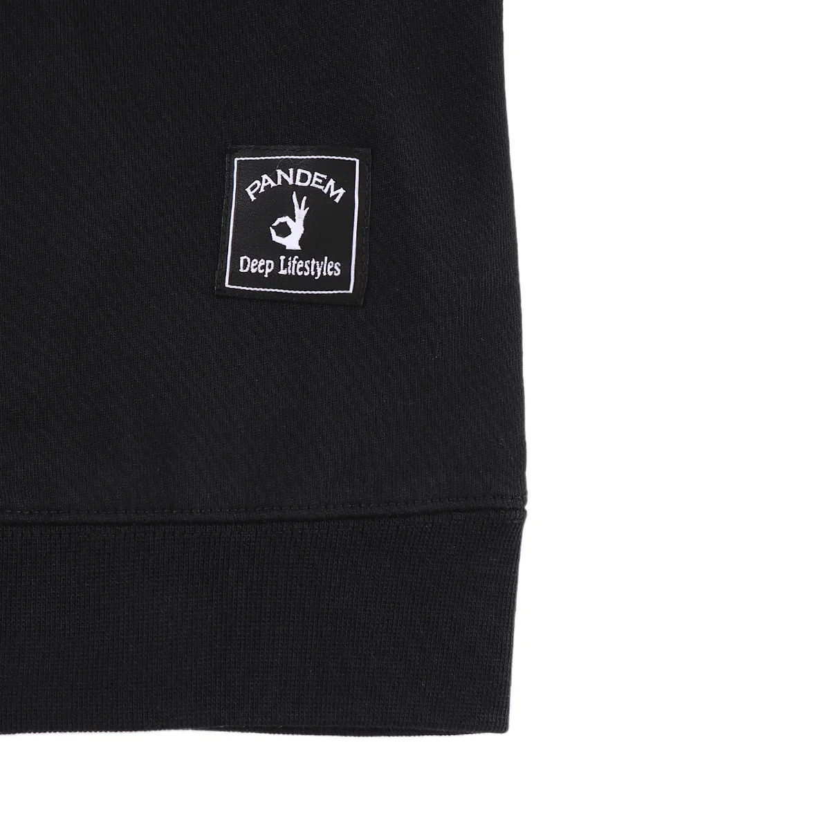 DPLS × Pandem | Iconic Logo Hoodie - Image 6